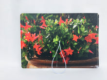 Billboard Vinyl Notepad Folio